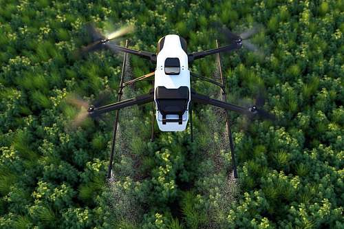 Применение беспилотных летательных аппаратов в сельском хозяйстве